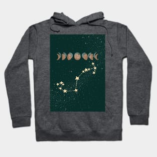 Scorpio Zodiac Moon Phases Hoodie